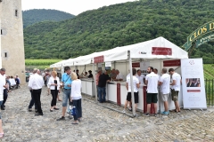 Aigle le 27 juin 2015 ChÃ¢teau d'Aigle dans le cadre du Mondial du Chasselas  la FÃªte du Chasselas   Â©2015,studio edouard curchod, tous droits rÃ©servÃ©s