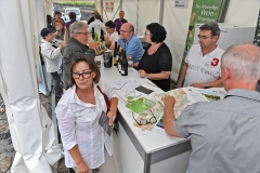 Aigle le 25 juin 2016 ChÃ¢teau d'Aigle  Mondial du Chasselas  5e  FÃªte du Chasselas  Â©2016,studio edouard curchod, tous droits rÃ©servÃ©s