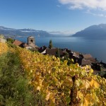 Getting to Know Chasselas