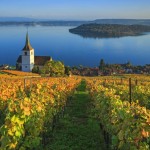 Sind Chasselas-Weine vom Bielersee schlechter als jene aus dem Wallis und der Waadt?